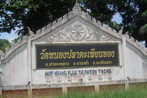 Wat Nong Pla Taphian Thong