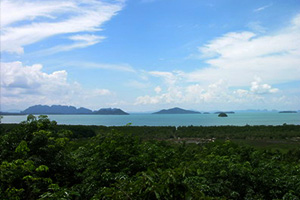 Ban Je Lee Viewpoint