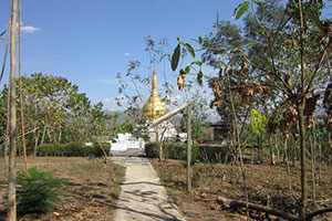 Wat Phu Thong Charoen Tham