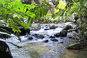 Huai Rak Mai Waterfall