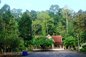 Wat Pa Khlong Mali