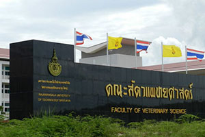 Rajamangala University of technology Srivijaya (Nakhon Si Thammarat Thung yai Campus)