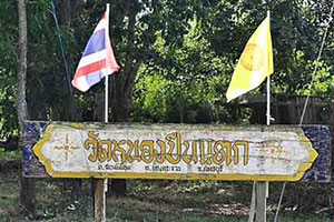Wat Nong Puean Taek