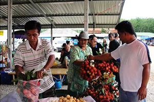 Fruit market (Phlong Ta Iam)