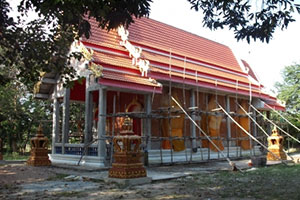 Wat Don Tha Na