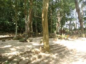 Wat Suan Mok