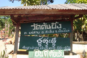 Wat Ton Phueng