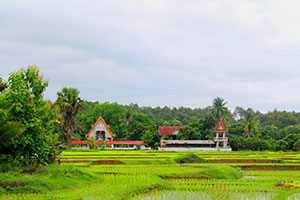 Wat Na Khian