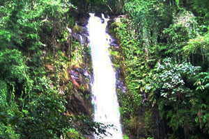 Mae Kim Waterfall