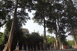 Wat Phaya Mai