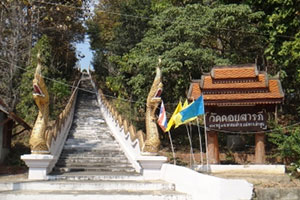 Wat Doi Saraphi