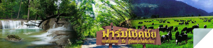 Saraburi : Trail of buddha, Pha Sak Chollasit dam, base of industry, the best of agriculture, many attraction to travel, the best of curry puff, good milk, make a merit flower festival, glowing sunflower fields.