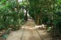 The Herb Garden Agroforestry