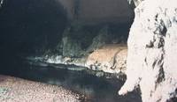 Khao Tak Cave