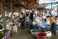 Doi Kaew Agricultural Market (Kad Ban Tha)