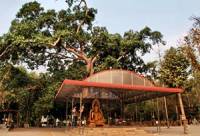 Wat Apinya Thesittham