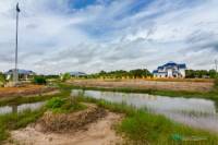 Mangrove Resource Development Station 2 in Welu River