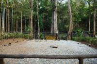 Sak Yai Forest Park