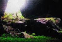 Pha Wi Cave (Sam Na Cave)