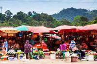Muser Market