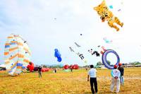 Traditional Kite Competition