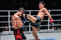 Muay Thai (Thai boxing) Martial Art
