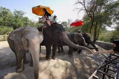 The Khao Khiao Open Zoo