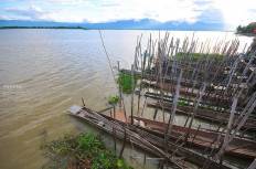 Kwan Phayao (Phayao Lake)