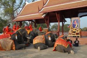 Ayutthaya Elephant Palace Lae Paniad