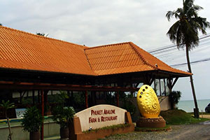 Phuket Abalone Farm
