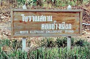 The Archaeological Site of The White Elephant Stable