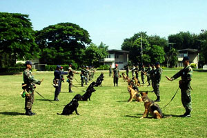 ศูนย์การสุนัขทหาร
