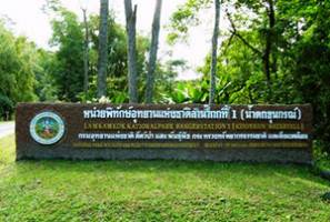 Namtok Khun Kon Forest Park
