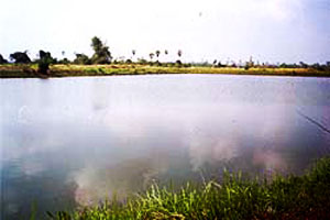 Khlong Rang Pond