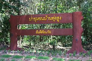 Ban Thung Sung Community Forest
