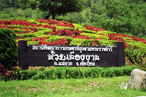 Huai Muang Ngam High Agricultural Development Projects