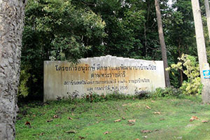 Ban Pong Study and Development of Forest Conservation Project