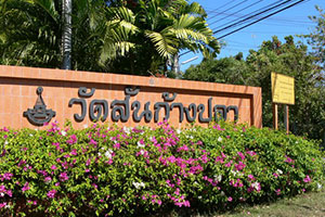 Wat San Kang Pla