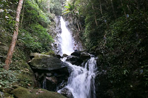 Tee Kor Ley Waterfall