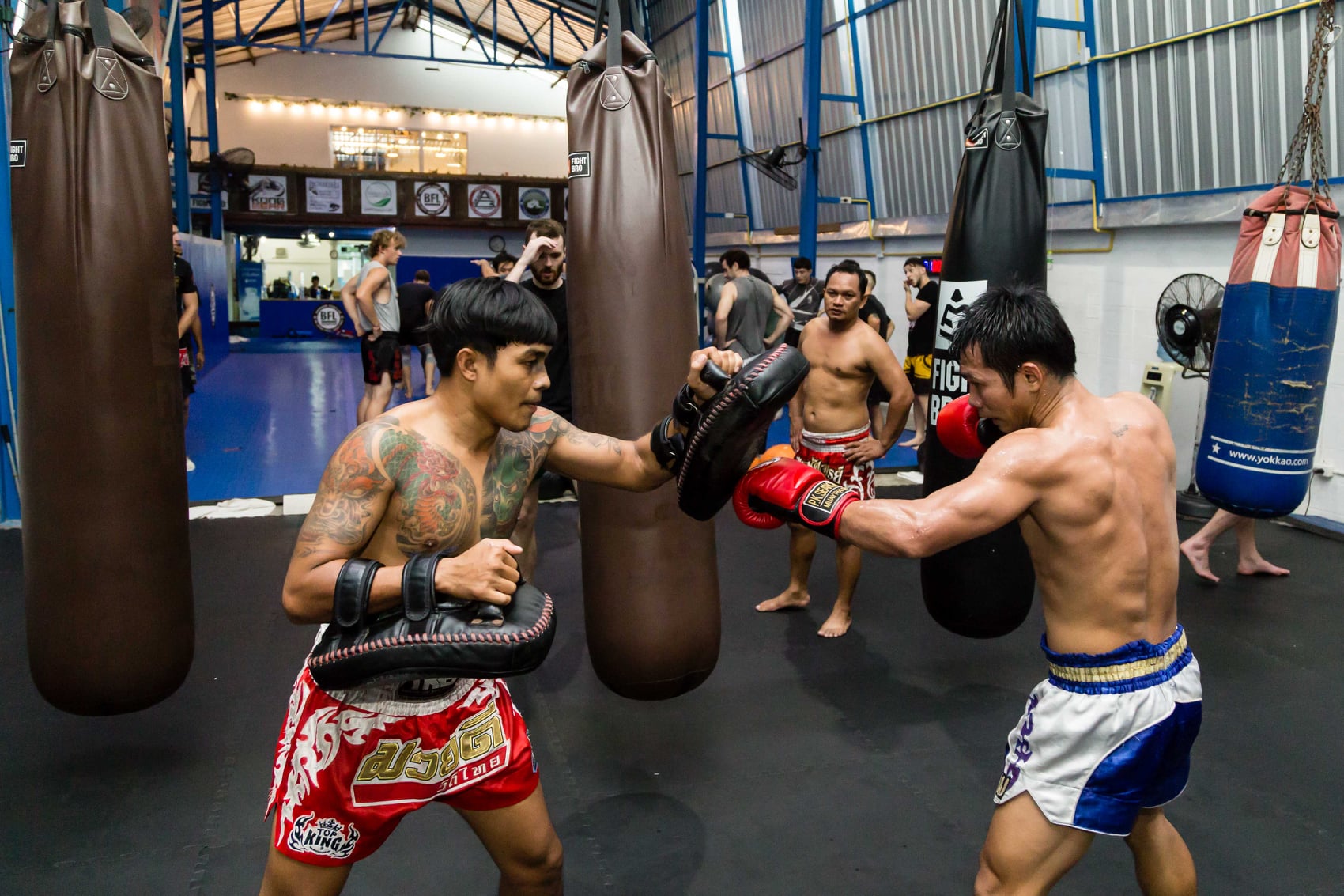 Bangkok Fight Lab