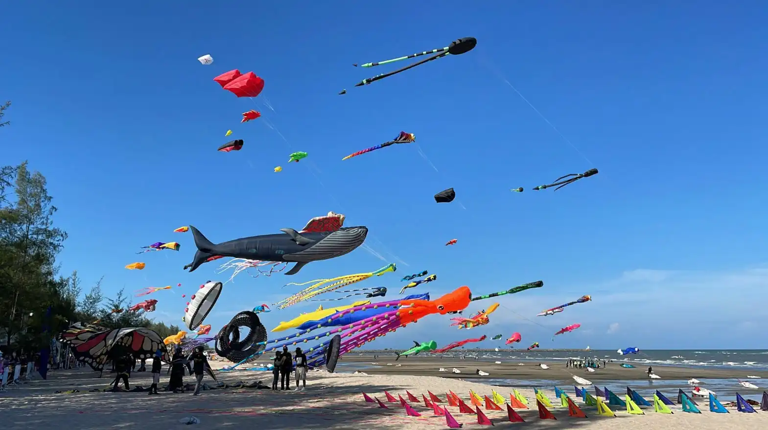International Kite Festival