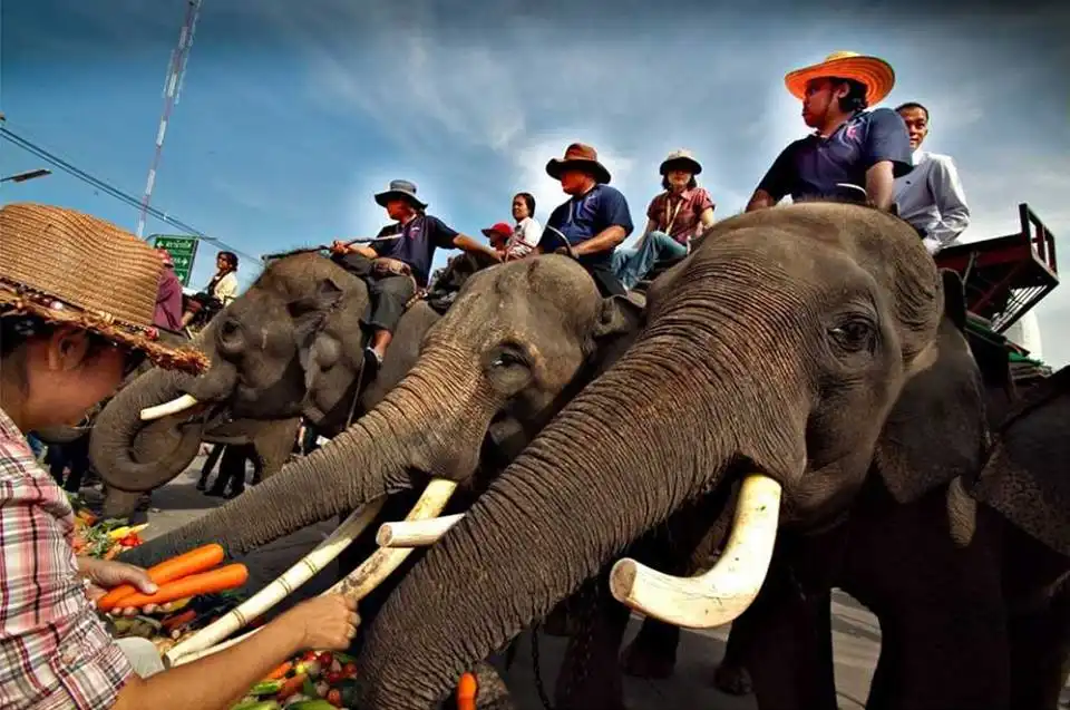 Elephant Festival